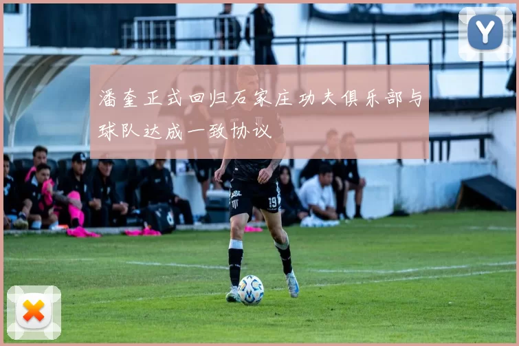 潘奎正式回归石家庄功夫俱乐部与球队达成一致协议