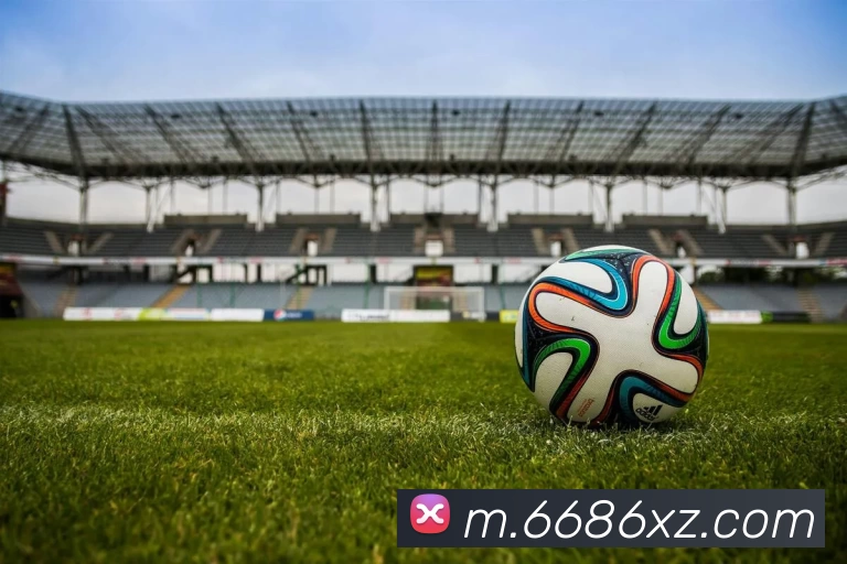 6686体育app平台生态图